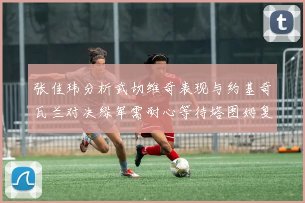 张佳玮分析武切维奇表现与约基奇瓦兰对决绿军需耐心等待塔图姆复出