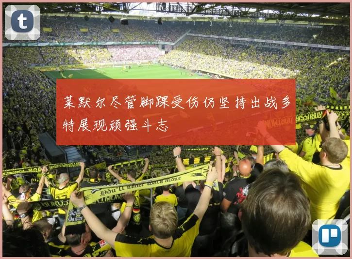 莱默尔尽管脚踝受伤仍坚持出战多特展现顽强斗志